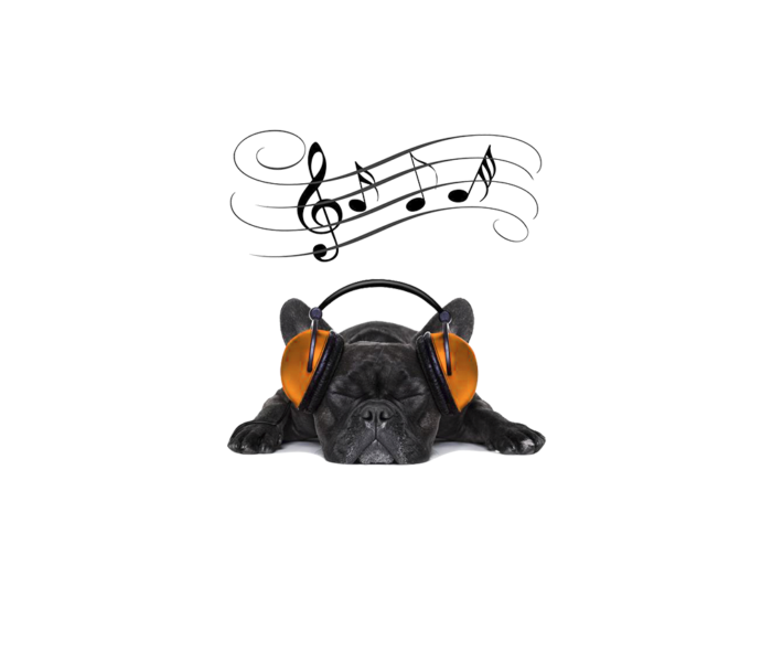 musica para relaxar o cães
