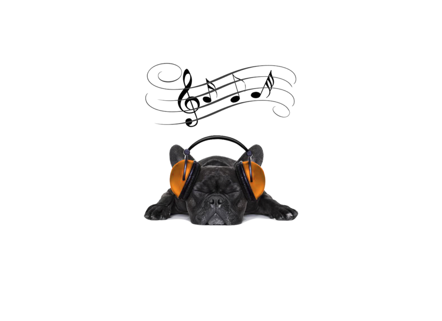 musica para relaxar o cães